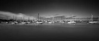 Ships in row moored on water surface in Monterey, California, USA — Stock Photo