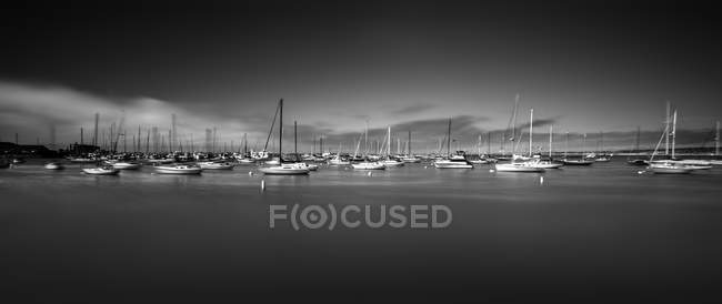 Barcos en fila amarrados en la superficie del agua en Monterey, California, EE.UU. - foto de stock