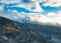 Пташиного польоту соснами на гірський масив оточений хмари на чорному лісі, Баден-Вюртемберг, Німеччина — стокове фото