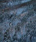 Vista aérea de la sinuosa carretera en el denso bosque de la Selva Negra, Baden-Wurttemberg, Alemania - foto de stock