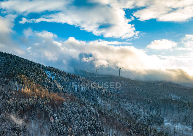 Aerial view of pine trees on mountain range surrounded by clouds at Black Forest, Baden-Wurttemberg, Germany — Stock Photo