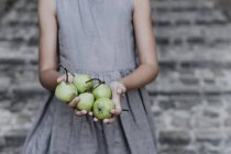 Vue recadrée de fille tenant des pommes fraîches dans les mains — Photo de stock