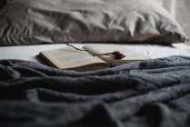 Открытая книга с шиповником на кровати — стоковое фото