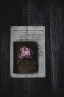 Вид сверху розовой розы на винтажном ноутбуке — стоковое фото