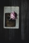 Top view of rose in vase on vintage notebook — Stock Photo
