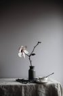 Орхідея в старовинній вазі з чашкою на столі — стокове фото