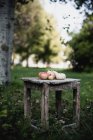 Свежий лук на деревянном стуле в саду — стоковое фото