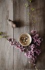 Пасхальна прикраса з перепелиними яйцями в дерев'яній мисці і весняного цвітіння дерев — стокове фото