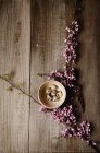 Пасхальна прикраса з перепелиними яйцями в глиняній мисці і розквіт весняного дерева — стокове фото