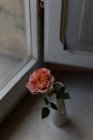 Rosa rosa em vaso vintage na soleira da janela, close-up — Fotografia de Stock