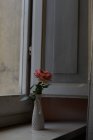 Rosa rosa en jarrón de porcelana vintage en alféizar de ventana - foto de stock