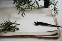 Винтажное перьевое перо на бумаге с чернилами и украшением розмариновых веток — стоковое фото