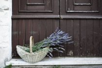 Лавандовые растения в плетеной корзине на крыльце — стоковое фото