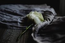 Nahaufnahme einer weißen Rose auf einem Tuch auf einem Holztisch — Stockfoto