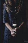 Cropped view of woman in dress holding white rose — Stock Photo