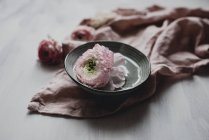 Розквіт баклажанів у керамічній мисці на пастельній тканині — стокове фото