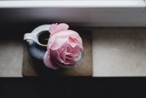 Rosa rosa em vaso vintage na soleira da janela, close-up — Fotografia de Stock