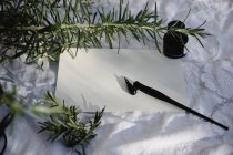 Vintage fountain pen on paper with inkwell and decoration of rosemary twigs — Stock Photo