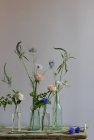 Blumenschmuck mit verschiedenen Pflanzen in Glasvasen — Stockfoto