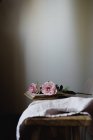 Розовые цветы розы на открытой книге о винтажном стуле — стоковое фото