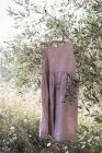 Linen dress hanging on tree branch in garden — Stock Photo