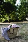 Flores de hortensias en bolsa de mimbre en el suelo en el jardín - foto de stock