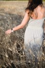 Rückansicht einer Frau im Kleid, die in einem Weizenfeld spaziert. — Stockfoto