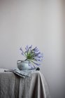 Agapanthus-Pflanze mit lila Blüten in Keramikvase auf dem Tisch — Stockfoto