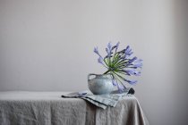 Agapanthus planta con flores de color púrpura en jarrón de cerámica en la mesa - foto de stock