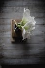 White lily flowers in vase on book pile on wooden background — Stock Photo