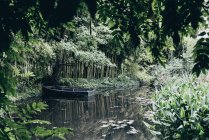 Escena al aire libre con barco de madera amarrado en estanque forestal - foto de stock