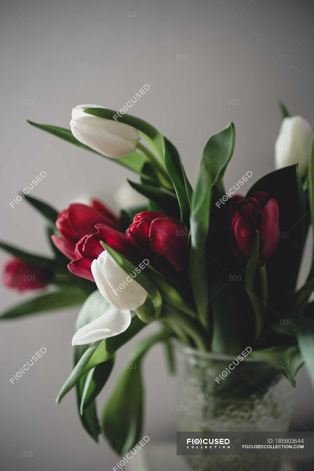 focused stock photo close bunch tulips vase