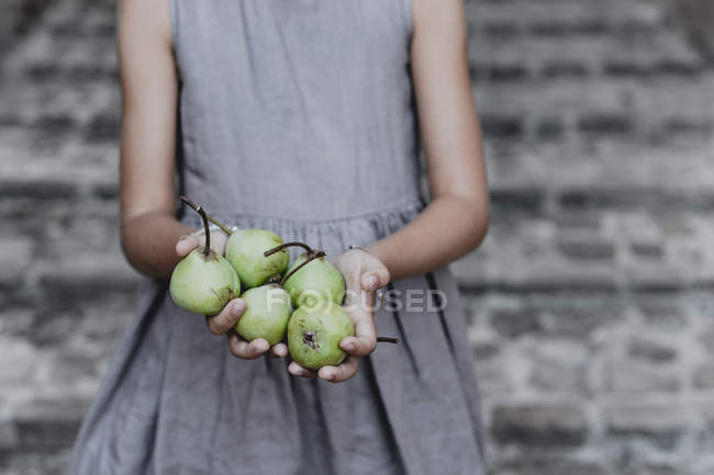 Обрізаний вид дівчини, що тримає свіжі яблука в руках — стокове фото