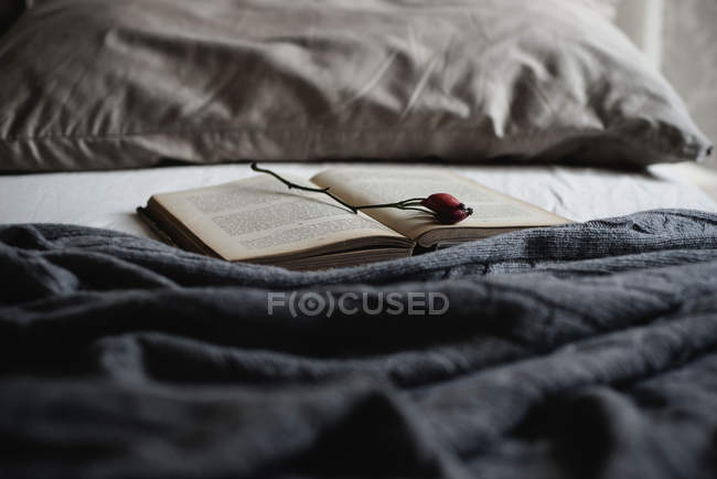 Libro abierto con ramita rosa mosqueta en la cama - foto de stock