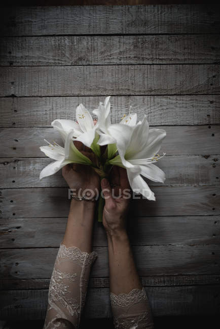 Female hands holding lily flowers on wooden background — Stock Photo