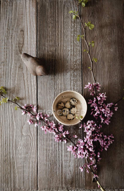 Décoration de Pâques avec oeufs de caille dans un bol en bois et fleur d'arbre de printemps — Photo de stock