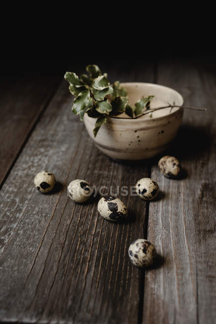 Easter composition with quail eggs and tree branch in bowl — Stock Photo