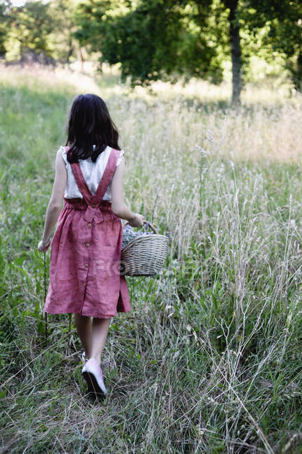 Задній вид дівчинка тримає корзини квітів лаванди у сільській місцевості саду. — стокове фото