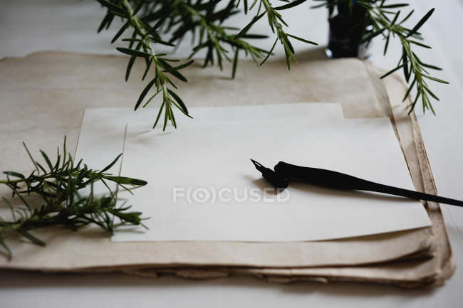 Caneta-tinteiro vintage sobre papel com tinta e decoração de galhos de alecrim — Fotografia de Stock