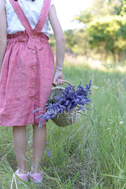 Vue recadrée de jeune fille tenant panier plein de fleurs de lupin bleu — Photo de stock