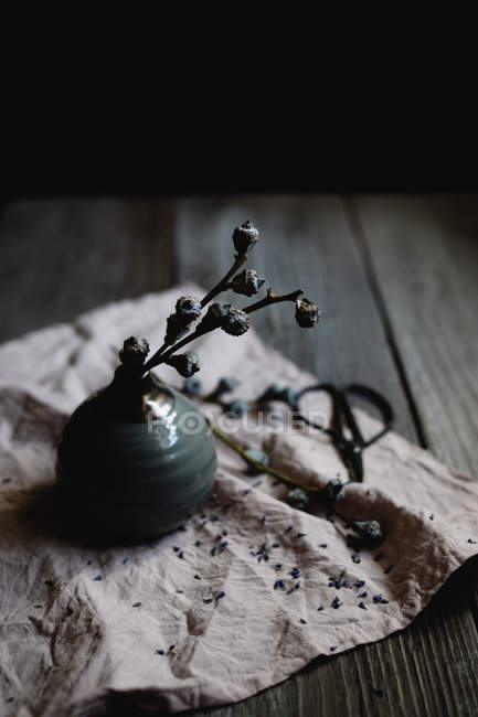 Rami secchi con baccelli in vaso di ceramica su tavolo rustico — Foto stock
