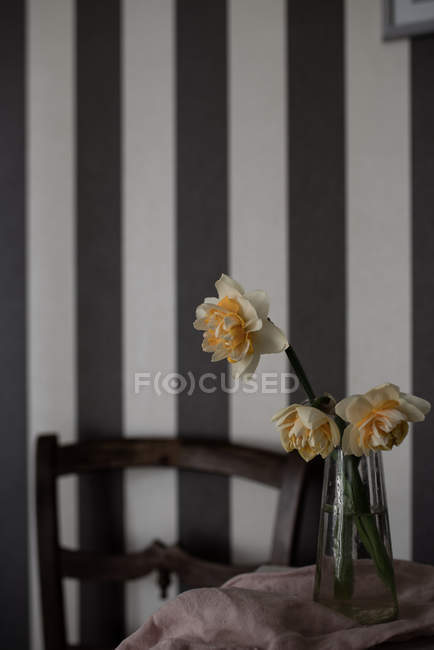 Narcissus flowers in glass vase on table — Stock Photo