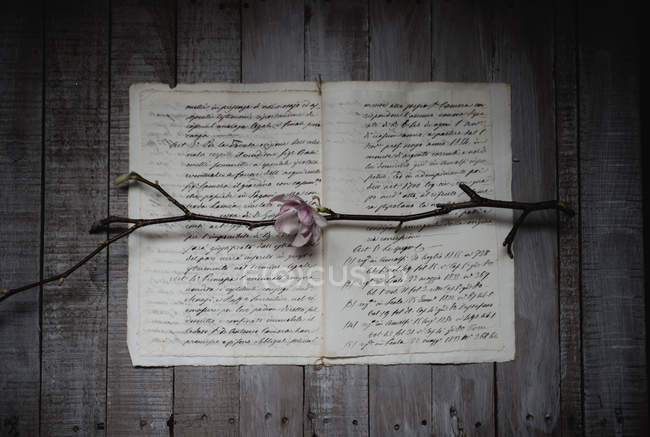Papeles con texto manuscrito y flor de árbol sobre fondo de madera - foto de stock