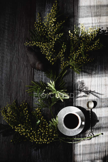 Чашка кави на дерев'яному столі з гілками мімози — стокове фото
