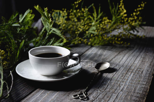 Tasse Kaffee auf Holztisch mit Mimosenzweigen — Stockfoto