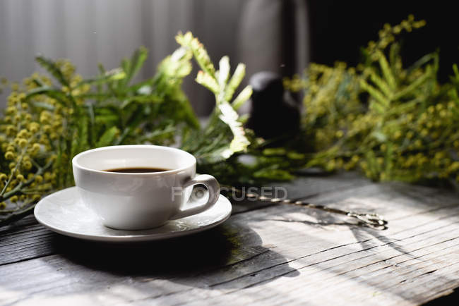 Taza de café sobre mesa de madera con ramas mimosas - foto de stock
