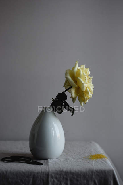 Жовта квітка троянди в керамічній вазі — стокове фото