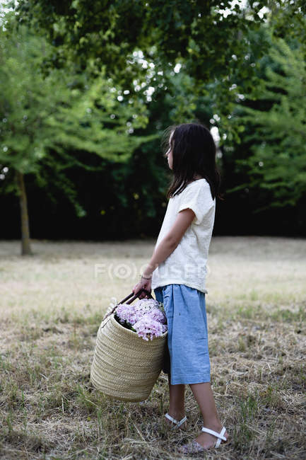 Girl holding hydrangea flowers in wicker bag. — Stock Photo