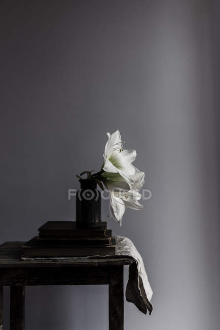 Квіти білої лілії у вазі на книжковій купі на сільському столі — стокове фото