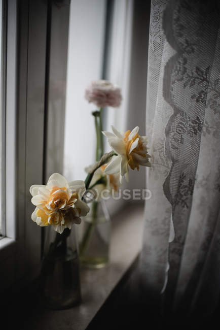 Gros plan de fleurs de jonquilles doubles dans un vase sur le rebord de la fenêtre — Photo de stock